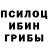 Псилоцибиновые грибы ЛСД Hotcrater 64