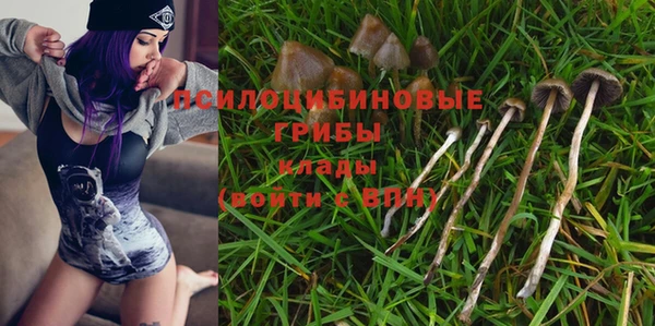 стафф Магас