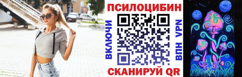 Галлюциногенные грибы Psilocybine cubensis блэк спрут рабочий сайт Малгобек