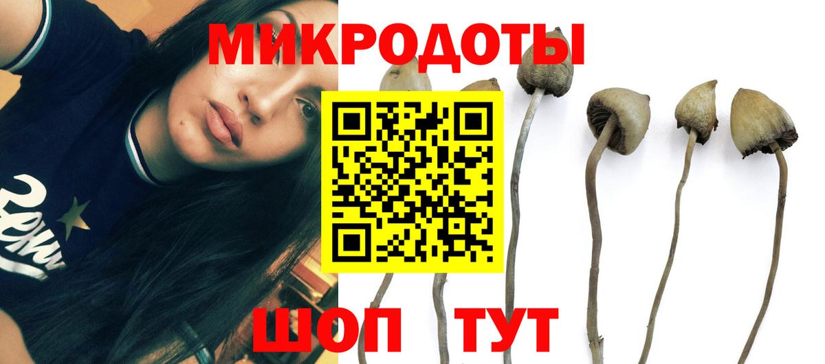 Галлюциногенные грибы Psilocybe  Вход с VPN  Малгобек  Псилоцибиновые грибы Psilocybine cubensis 